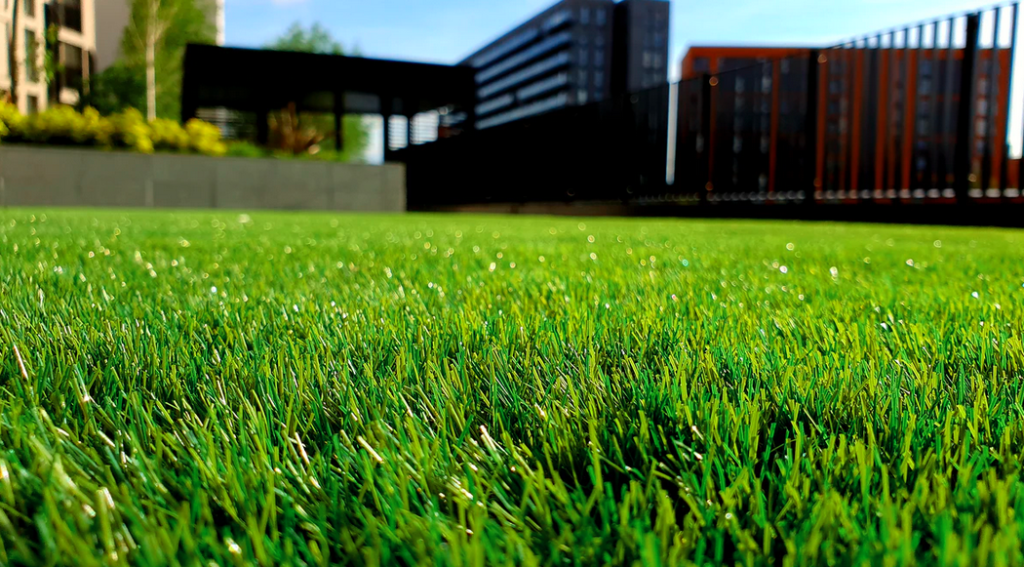 5 top benefits of having a healthy and green lawn