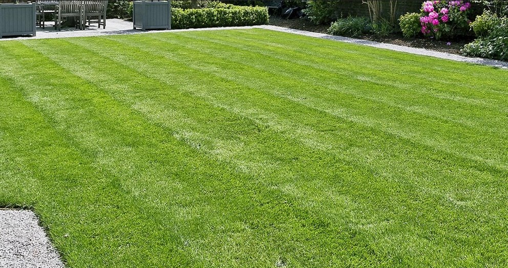 Tips On How To Have A Well-Maintained Lawn