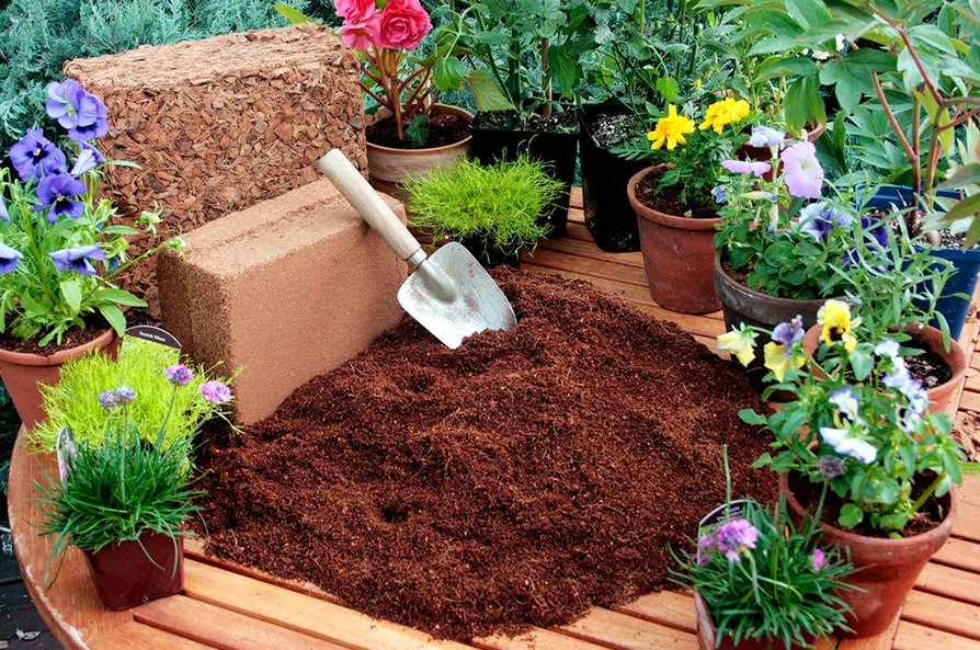How To Grow Your Garden Very Well With Cocopeat