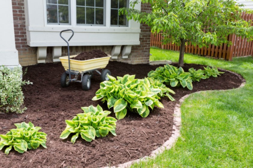 4 Benefits of Mulching Your Garden