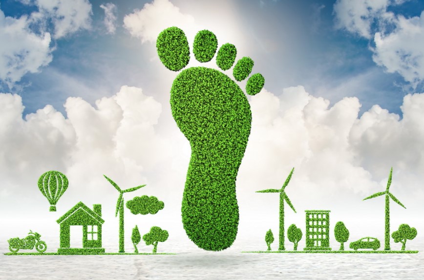 How to Reduce Your Carbon Footprint