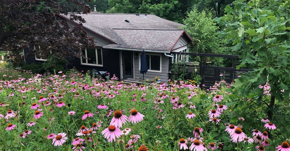 CREATING A POLLINATOR GARDEN: THE IMPORTANCE OF A POLLINATOR GARDEN AND GUIDANCE FOR CREATING ONE IN YOUR YARD